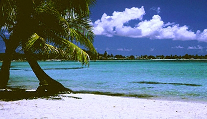 guadeloupe, sainte-anne, beach
